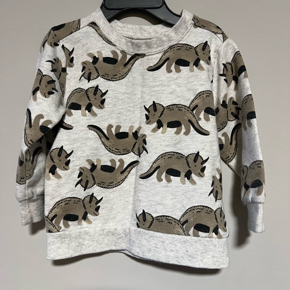 Carter's Other - Carter's Size 18 Months Gray Brown Dinosaur Pull Over Long Sleeve Sweatshirt